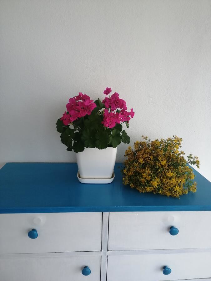 Дома для отпуска Old etno house HAPPY VILLAGE Цетине-30