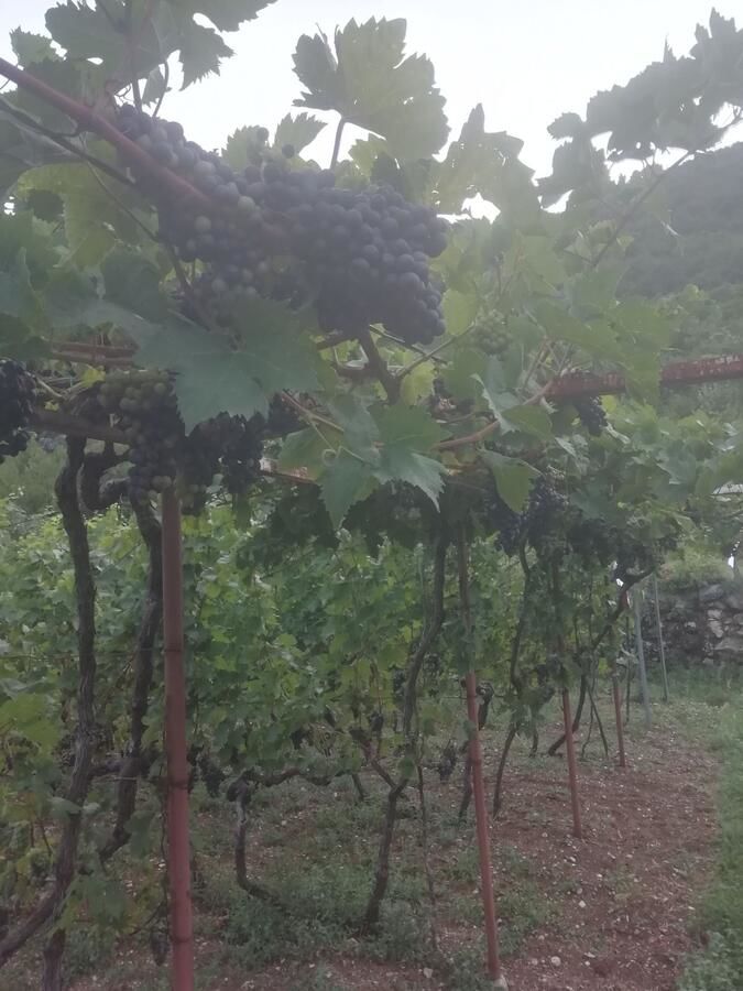 Дома для отпуска Old etno house HAPPY VILLAGE Цетине-7