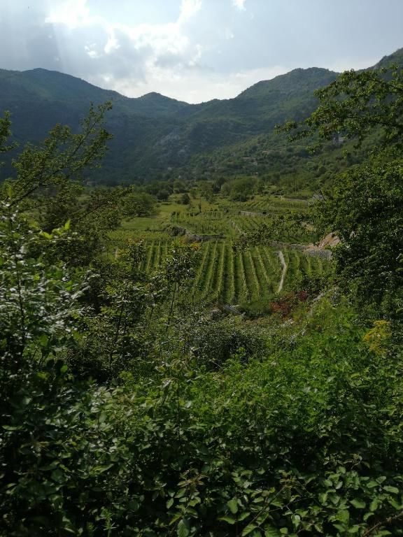 Дома для отпуска Old etno house HAPPY VILLAGE Цетине-50