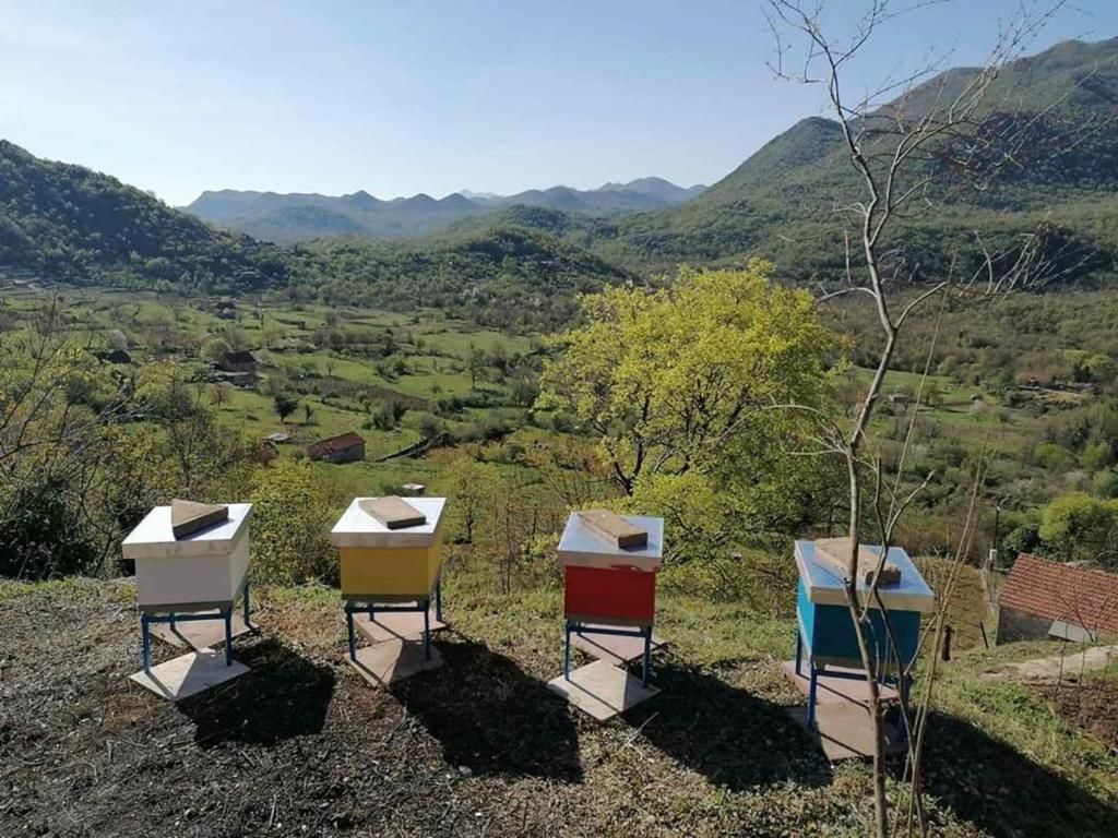 Дома для отпуска Old etno house HAPPY VILLAGE Цетине-55