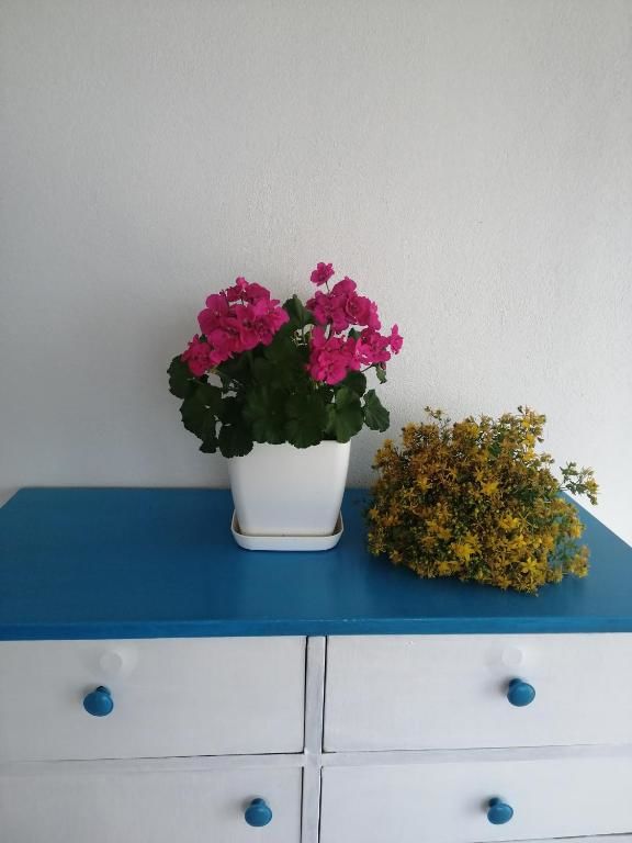 Дома для отпуска Old etno house HAPPY VILLAGE Цетине-69