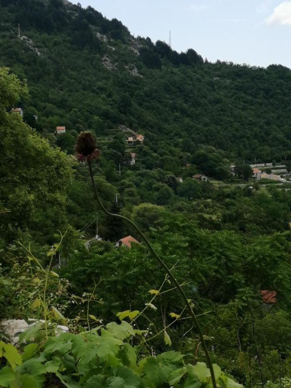 Дома для отпуска Old etno house HAPPY VILLAGE Цетине-77