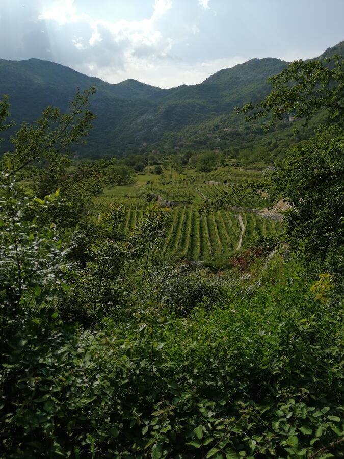 Дома для отпуска Old etno house HAPPY VILLAGE Цетине-11