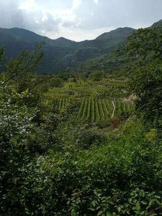 Дома для отпуска Old etno house HAPPY VILLAGE Цетине Дом с 1 спальней-45