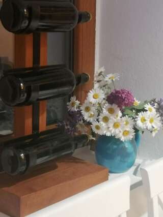 Дома для отпуска Old etno house HAPPY VILLAGE Цетине Дом с 1 спальней-60