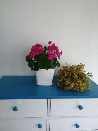 Дома для отпуска Old etno house HAPPY VILLAGE Цетине Дом с 1 спальней-64