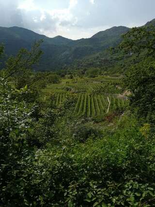 Дома для отпуска Old etno house HAPPY VILLAGE Цетине Дом с 1 спальней-6