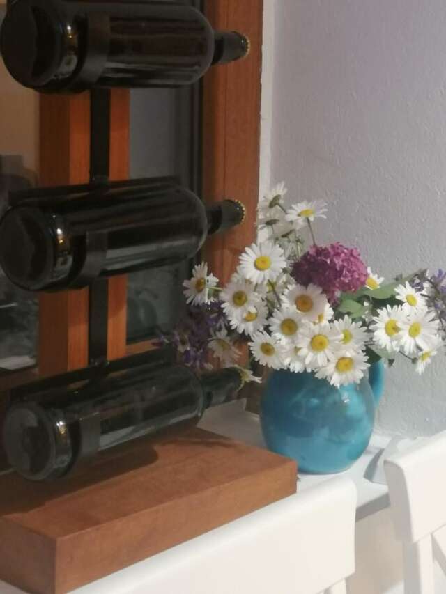 Дома для отпуска Old etno house HAPPY VILLAGE Цетине-25