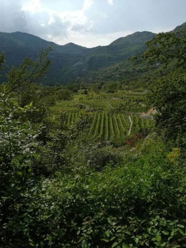 Дома для отпуска Old etno house HAPPY VILLAGE Цетине-49