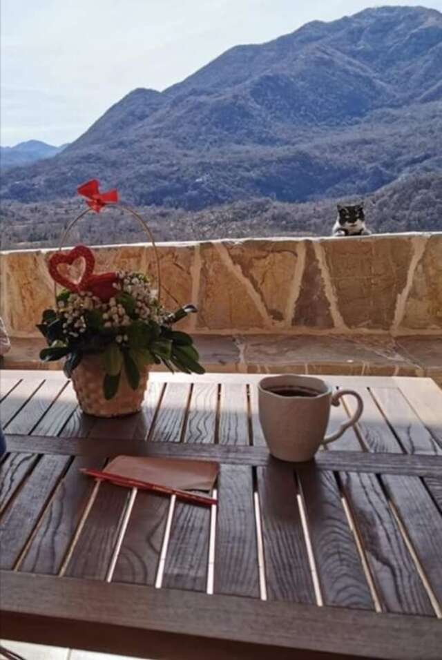 Дома для отпуска Old etno house HAPPY VILLAGE Цетине-75