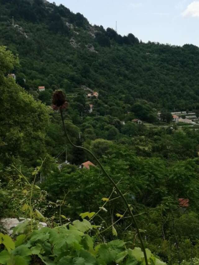Дома для отпуска Old etno house HAPPY VILLAGE Цетине-76