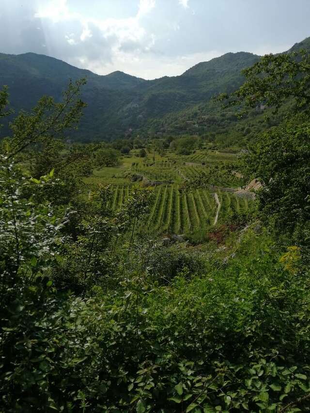 Дома для отпуска Old etno house HAPPY VILLAGE Цетине-10