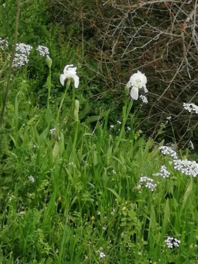 Дома для отпуска Old etno house HAPPY VILLAGE Цетине-89