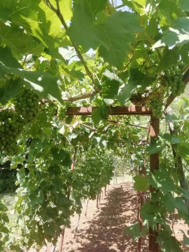 Дома для отпуска Old etno house HAPPY VILLAGE Цетине-93