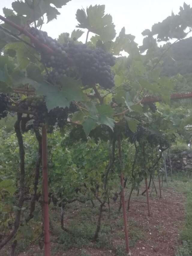 Дома для отпуска Old etno house HAPPY VILLAGE Цетине-94